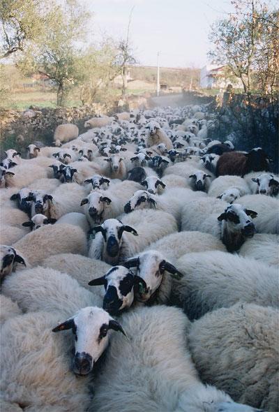 Hotel Casas Campo Cimo Da Quinta Miranda do Douro Zewnętrze zdjęcie