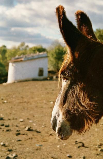 Hotel Casas Campo Cimo Da Quinta Miranda do Douro Zewnętrze zdjęcie